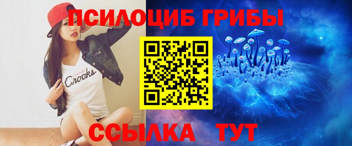 Галлюциногенные грибы GOLDEN TEACHER  Вход с VPN  Псилоцибиновые грибы прущие грибы  Ишимбай 